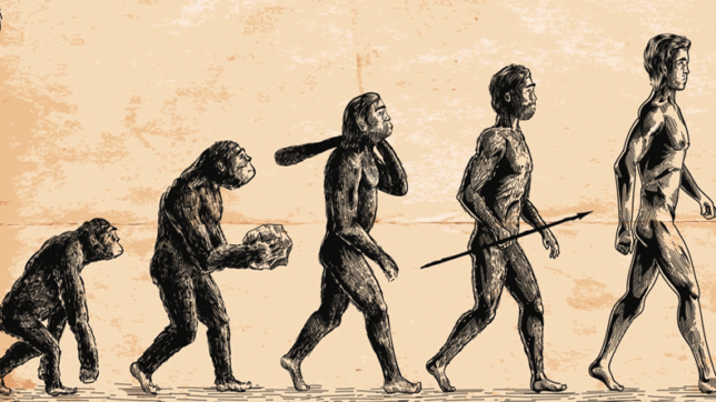 study-man-did-not-evolve-from-apes-upi